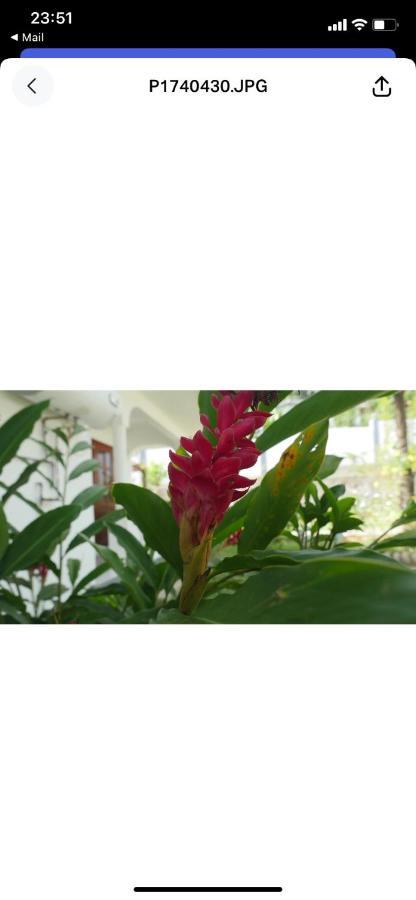 Hotel Ogumka, Self Catering , Beoliere, Mahe à Victoria Extérieur photo